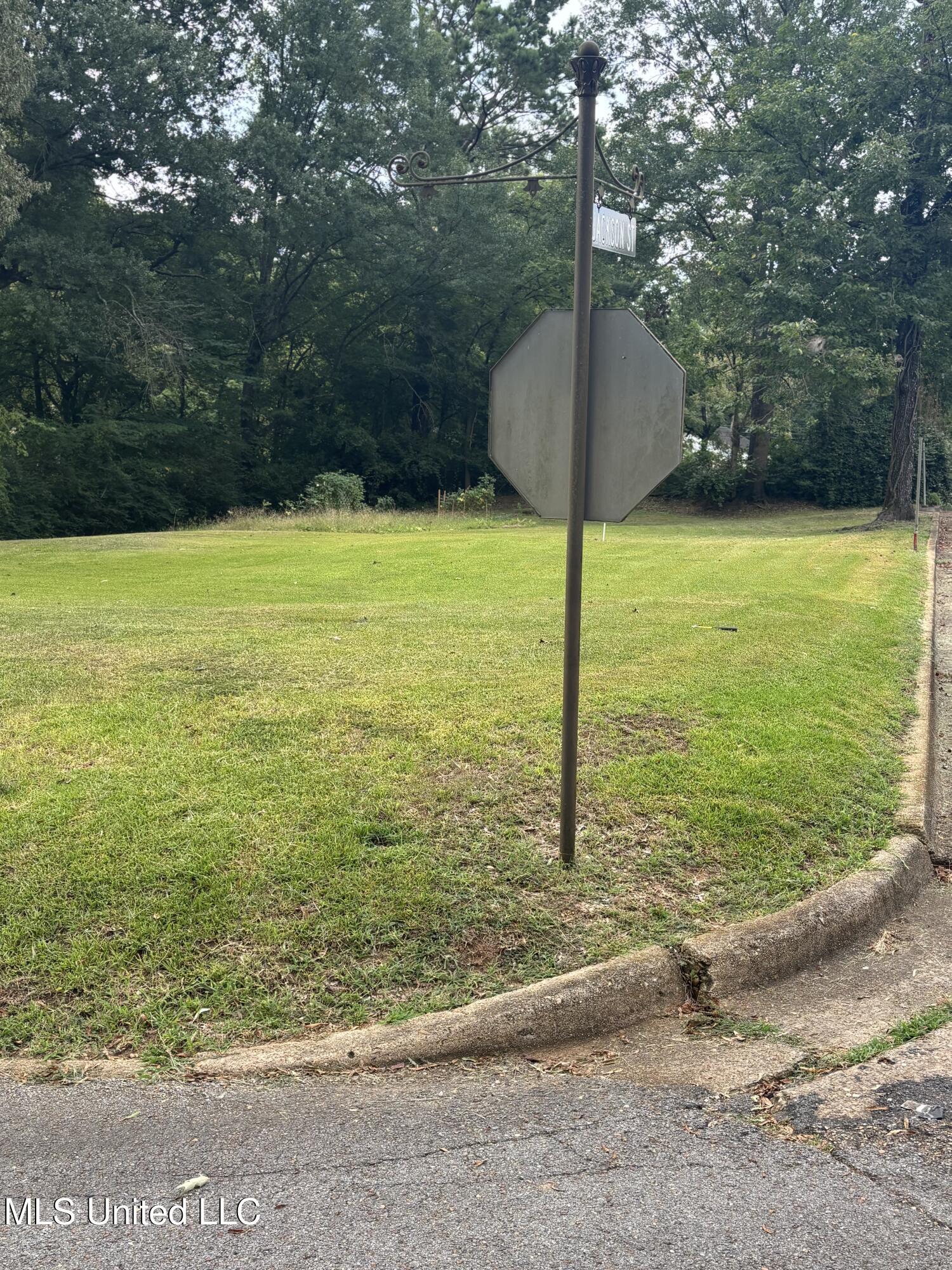 400 Alabama Street New Albany, MS 38652 - Photo 4 of 9 IMG_1425