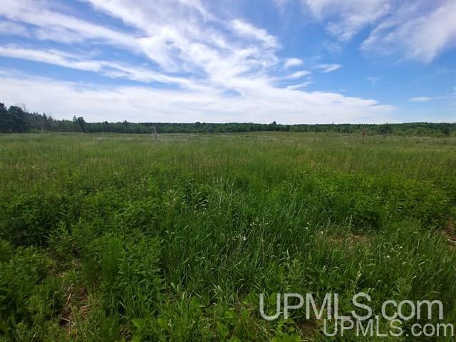 40-acres Davidson Road Manistique, MI 49854 - Photo 4 of 30 Gallery Image 4