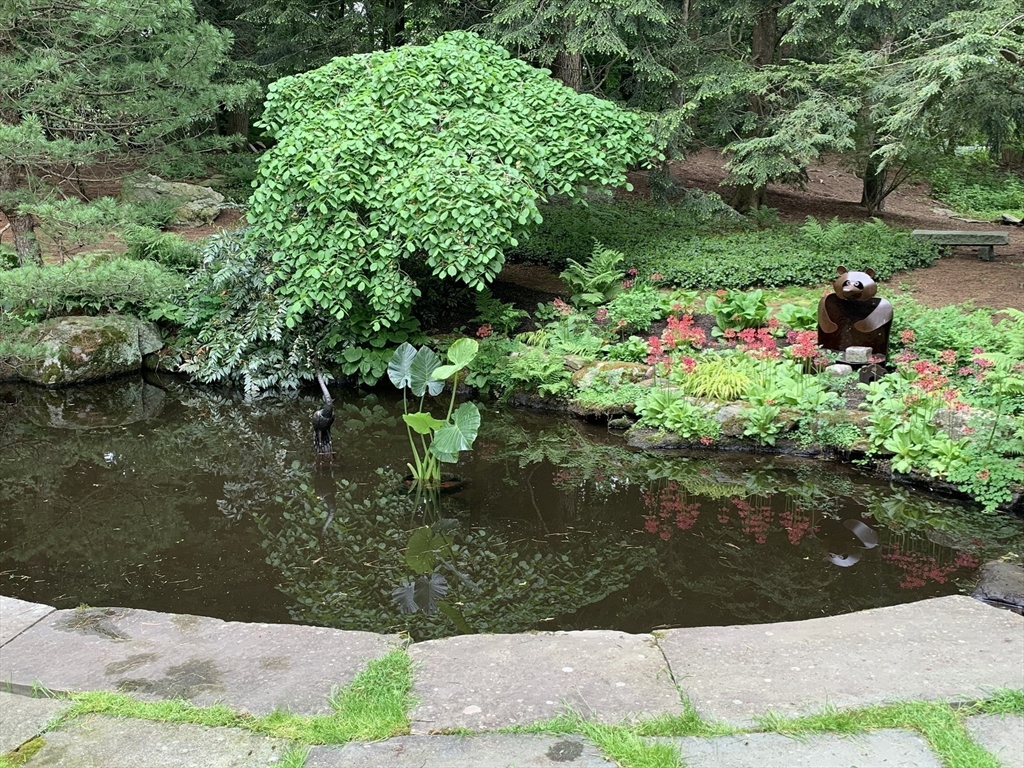 474 Salisbury Street Worcester, MA 01609 - Photo 40 of 40 a view of a garden