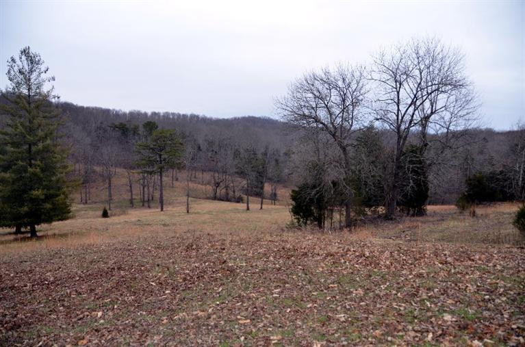 1709 Macedonia Road Irvine, KY 40336 - Photo 32 of 87 This is your view from the side yard!