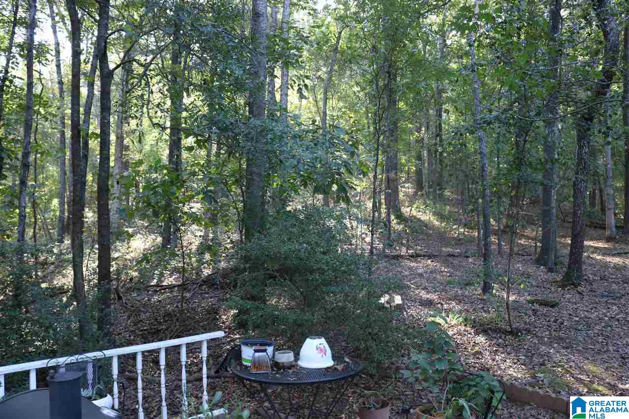 315 Anna Mattison Road Oxford, AL 36203 - Photo 35 of 41