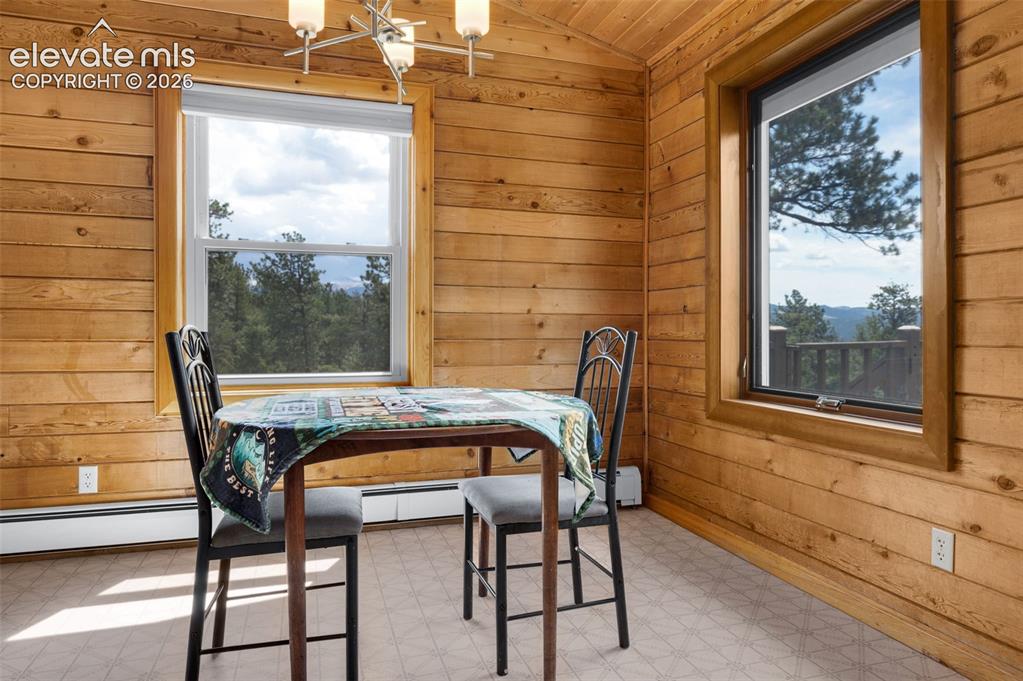 187 Thunder Ridge Road Florissant, CO 80816 - Photo 15 of 46
