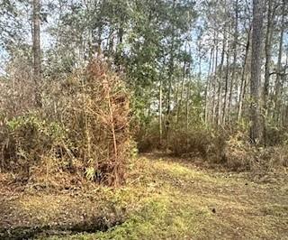 1128 Murray Rd Loop Pearl River, LA 70452 - Photo 1 of 2 Gallery Image 1