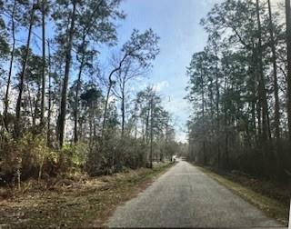 1128 Murray Rd Loop Pearl River, LA 70452 - Photo 2 of 2 Gallery Image 2