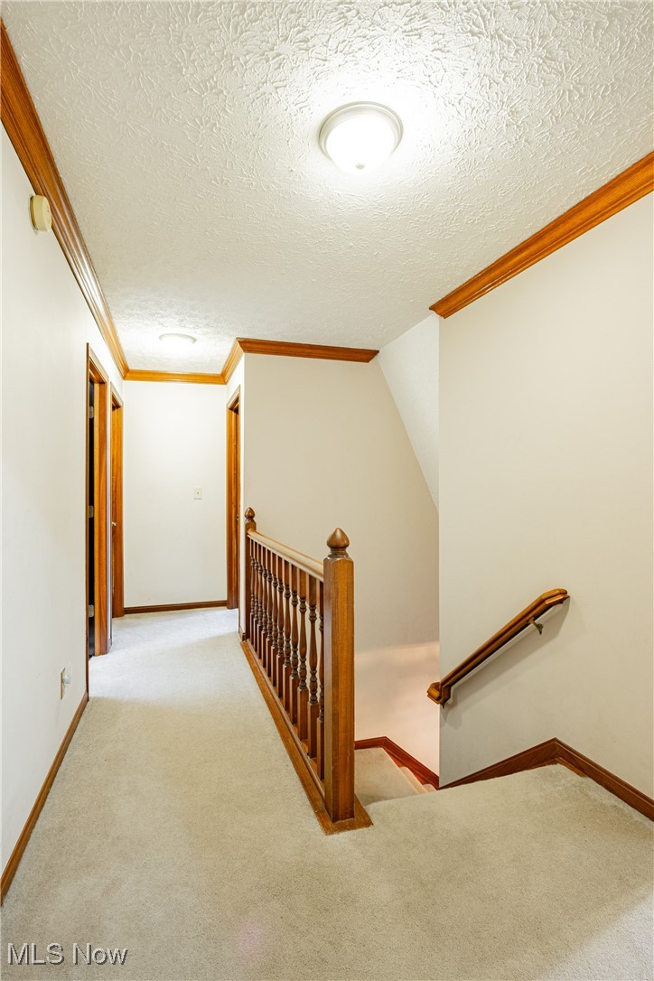 6743 Cedar Ridge Trail Clinton, OH 44216 - Photo 21 of 42 Staircase featuring carpet, a textured ceiling, vaulted ceiling, and crown molding