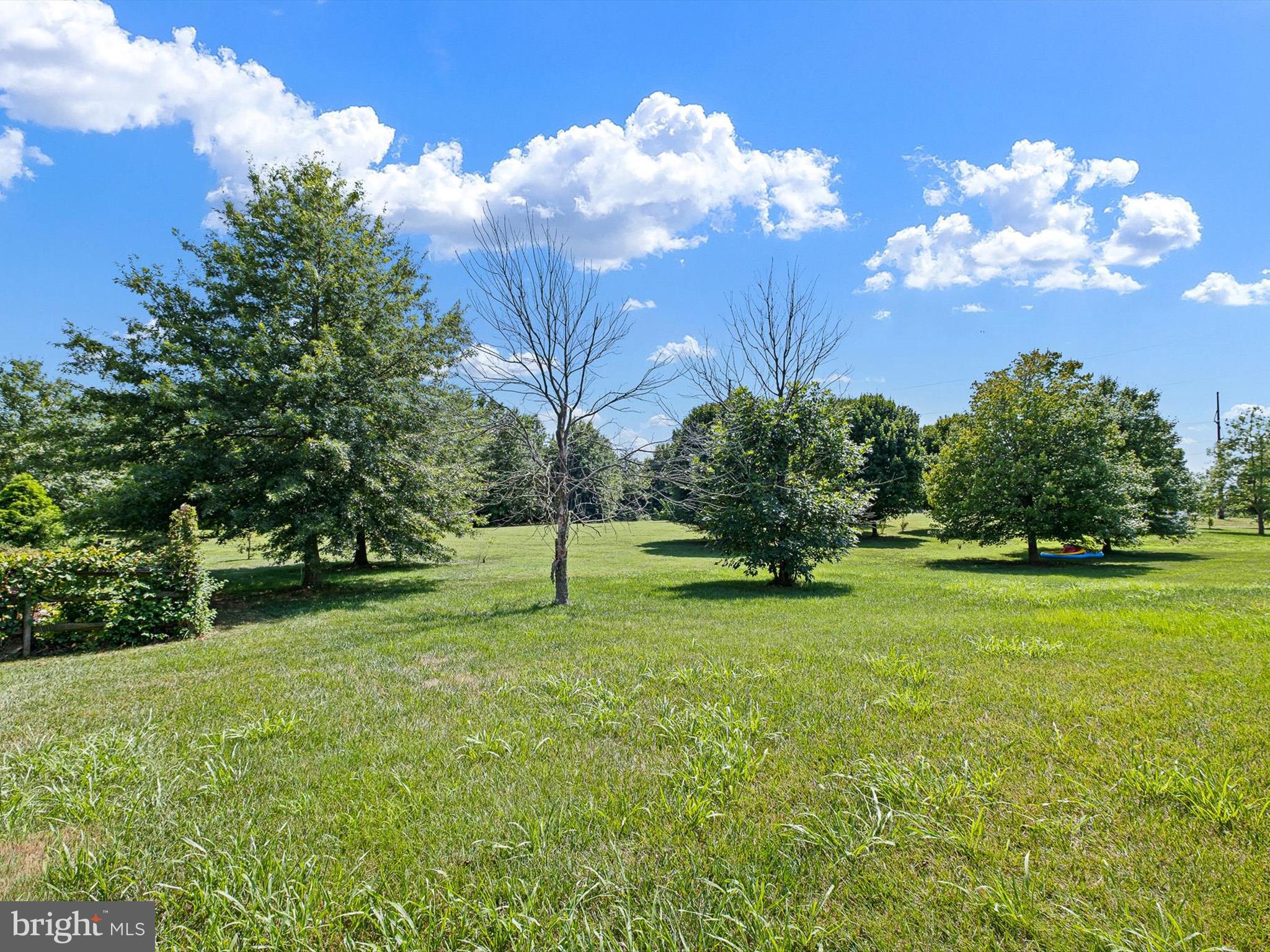 106 Lynemore Drive Townsend, DE 19734 - Photo 43 of 54