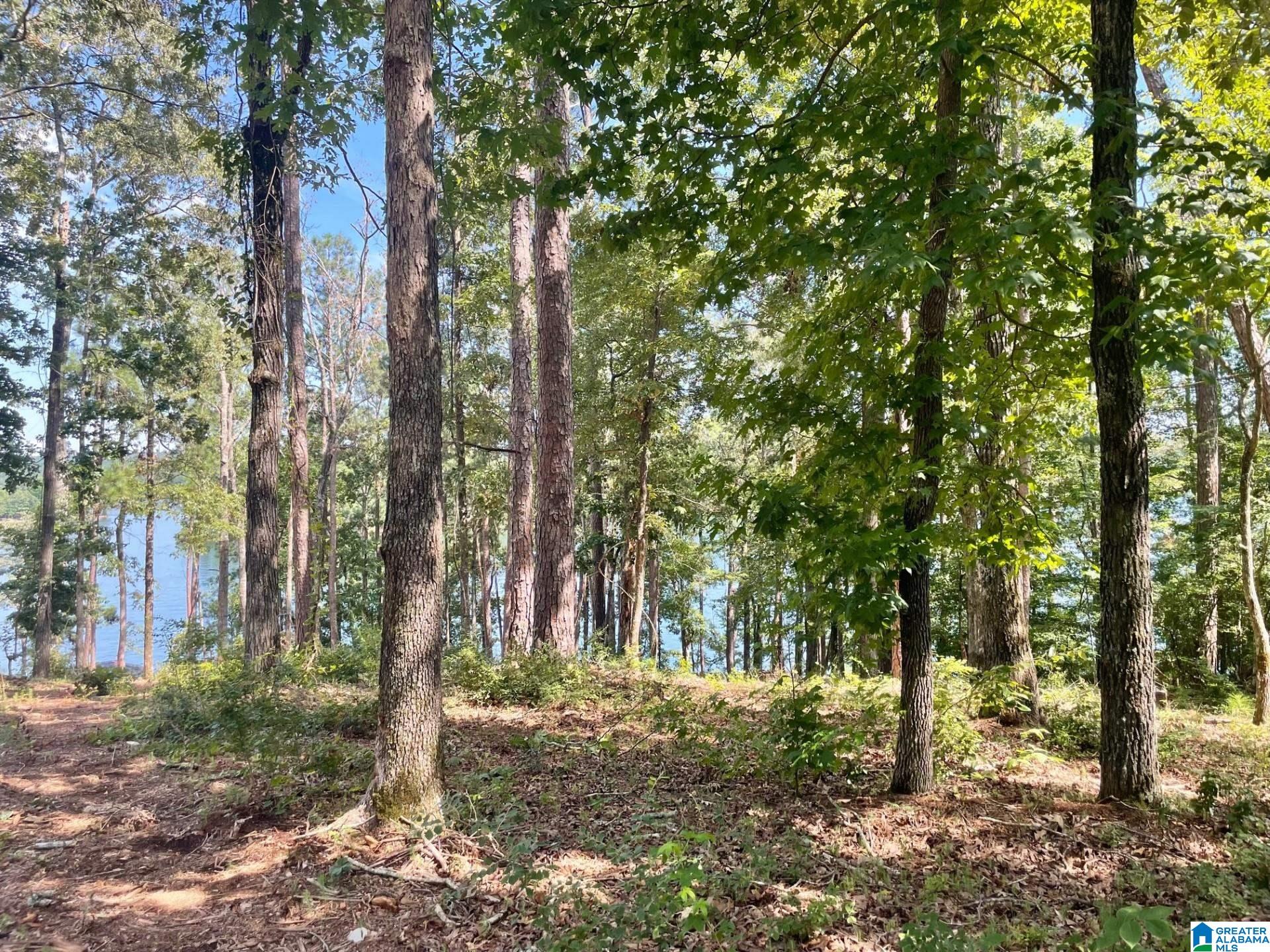 897 County Road, Unit 7 Wedowee, AL 36278 - Photo 7 of 8