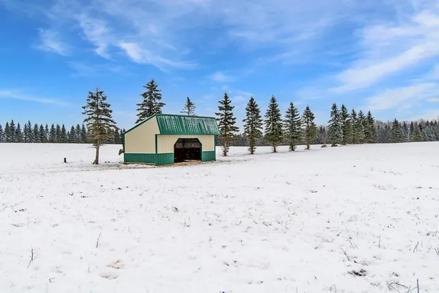 $749,900 | 33896 County 21, Browerville, MN 56438