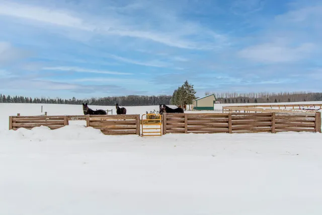 $749,900 | 33896 County 21, Browerville, MN 56438