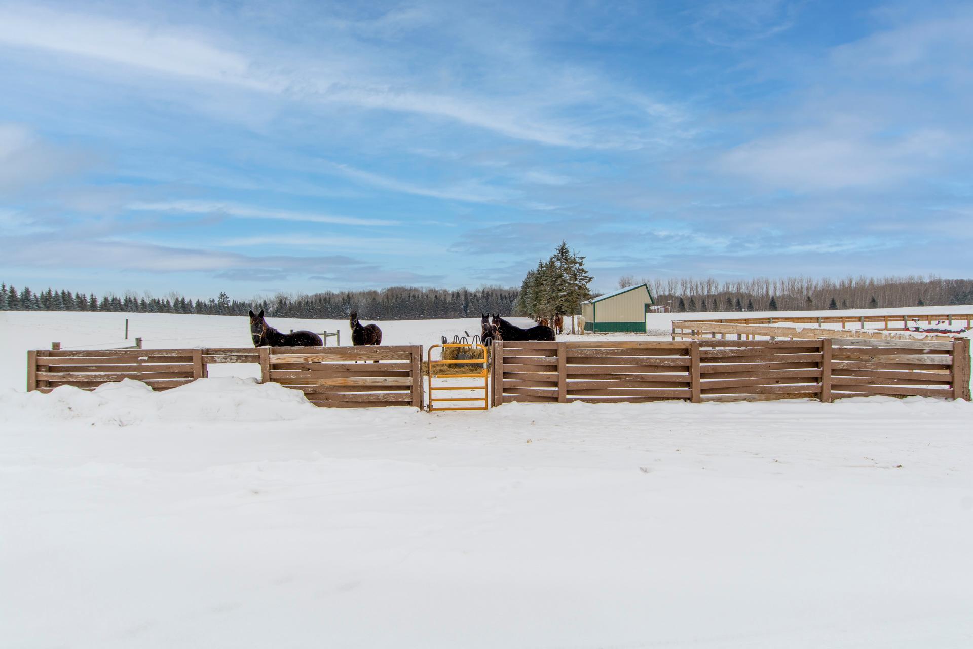 33896 County 21 Browerville, MN 56438 - Photo 20 of 65