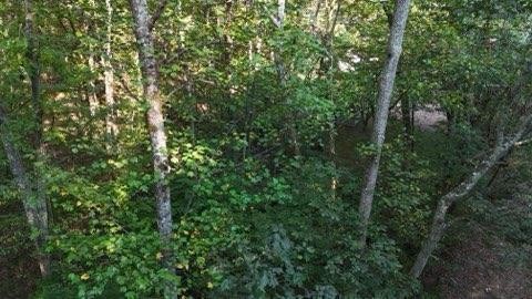 0 Lower River Road Northwest Georgetown, TN 37336 - Photo 1 of 13 Gallery Image 1