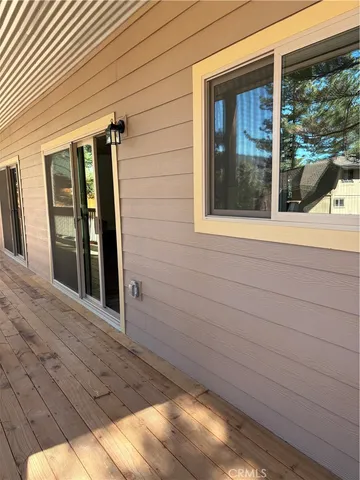 a view of a trees with a tree