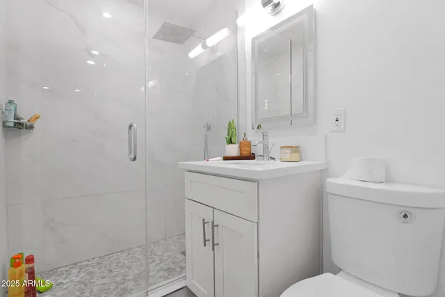 a bathroom with a sink toilet and vanity