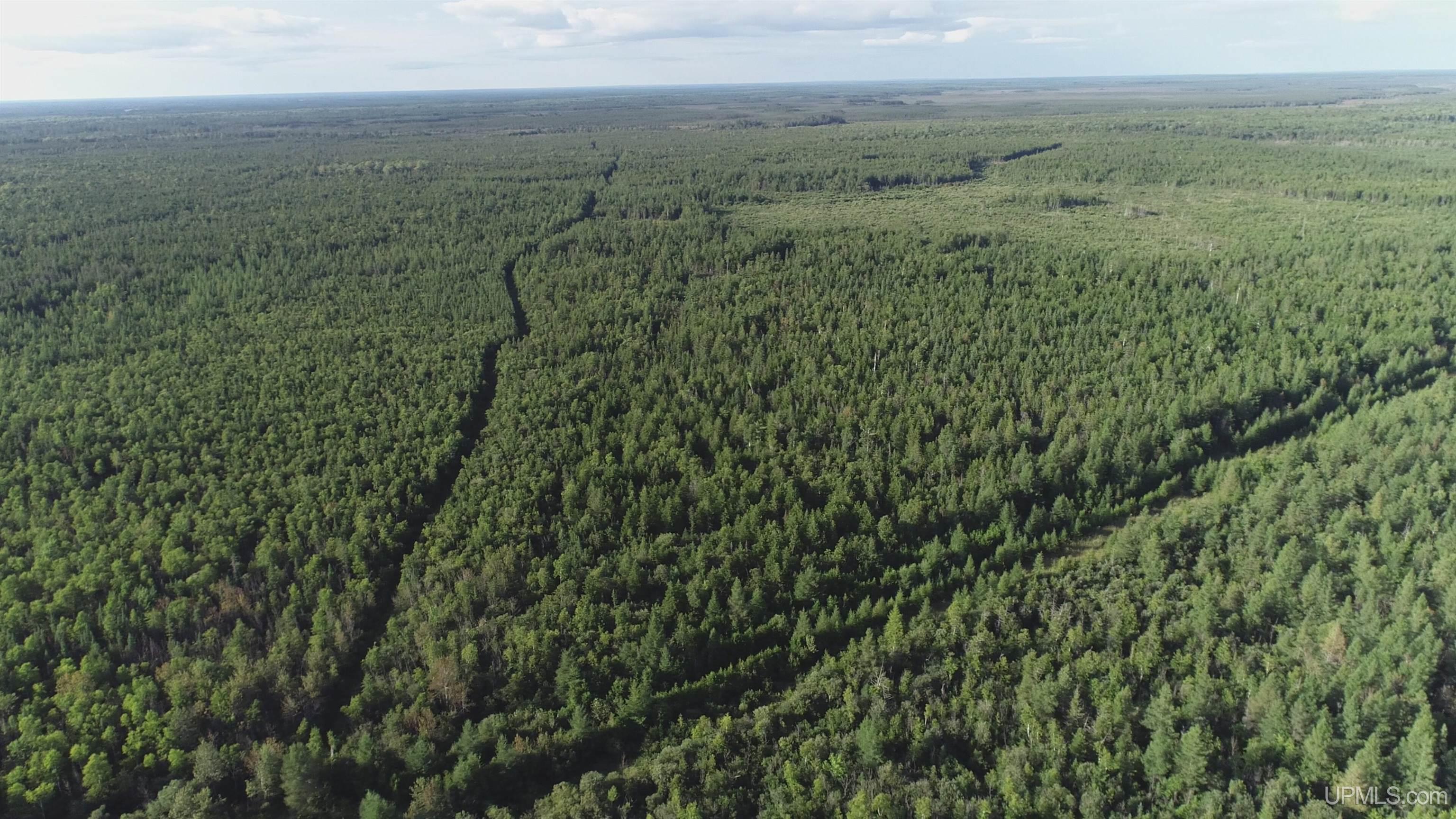 332-acres River Road Gulliver, MI 49840 - Photo 13 of 14