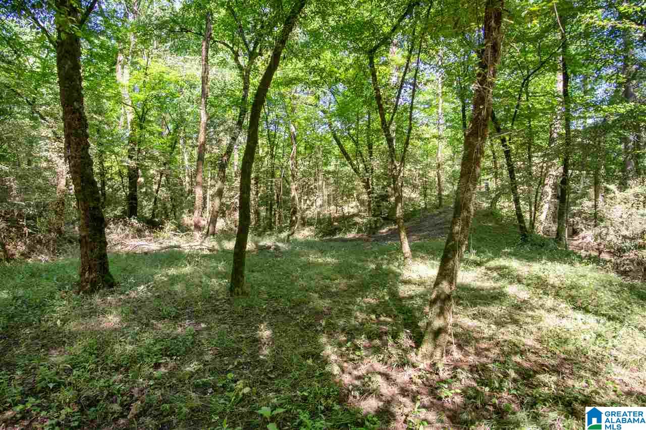 1720 Ponderosa Road Hayden, AL 35079 - Photo 44 of 45