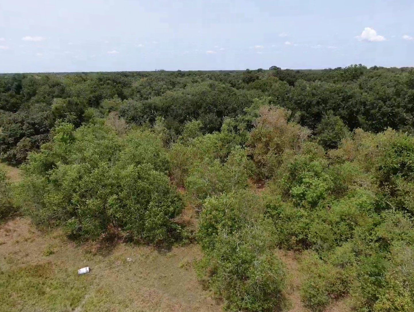 7800 A Brazos River Road Damon, TX 77430 - Photo 8 of 15 Gallery Image 8