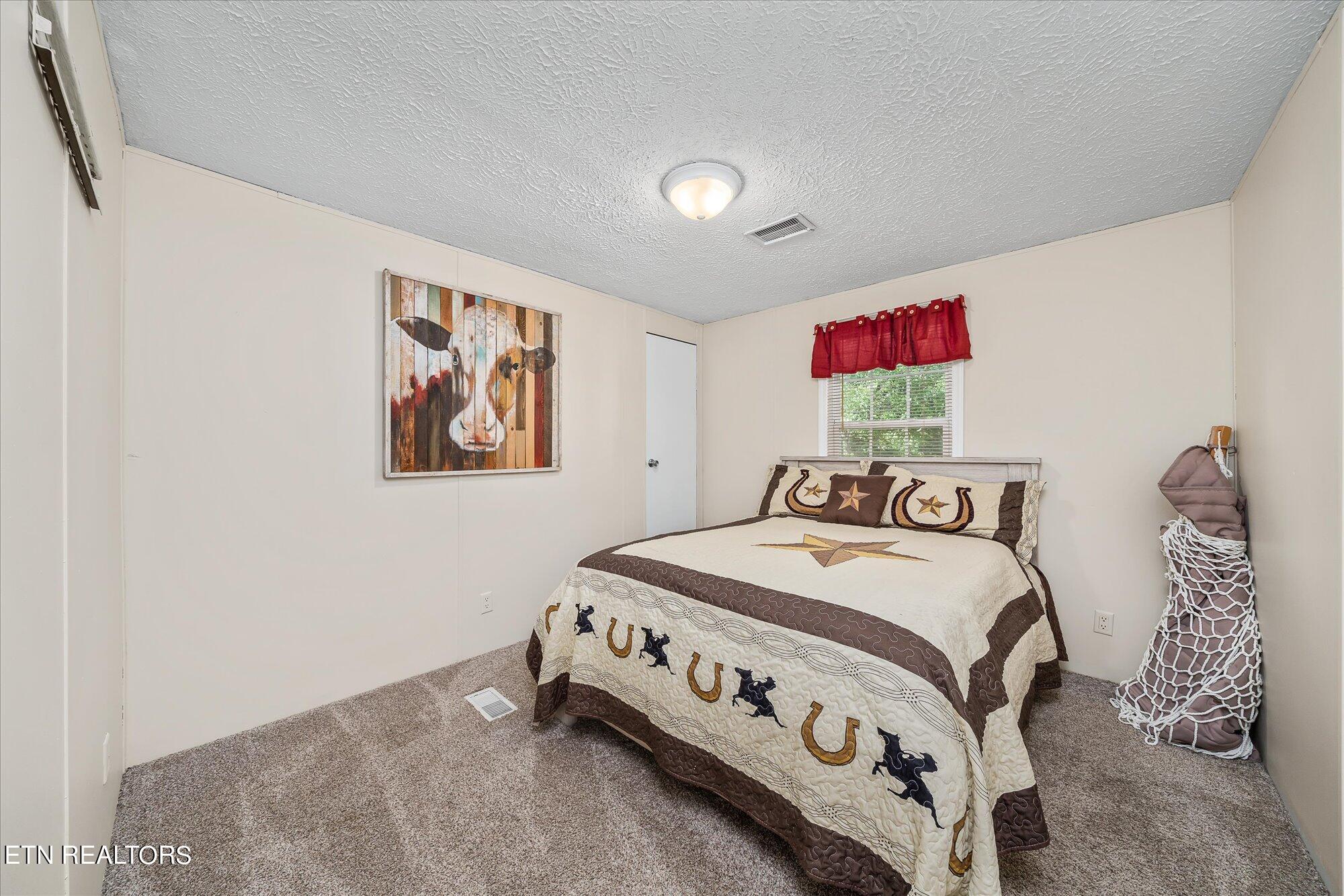 110 James Henry Road Deer Lodge, TN 37726 - Photo 13 of 25 19-110 James Henry Rd-123