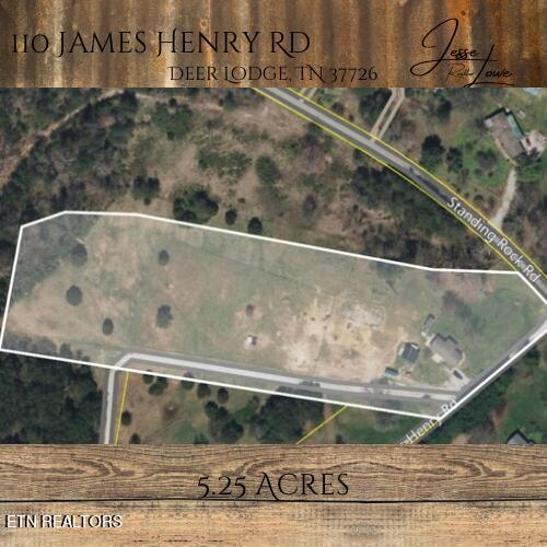 110 James Henry Road Deer Lodge, TN 37726 - Photo 23 of 25 lkm