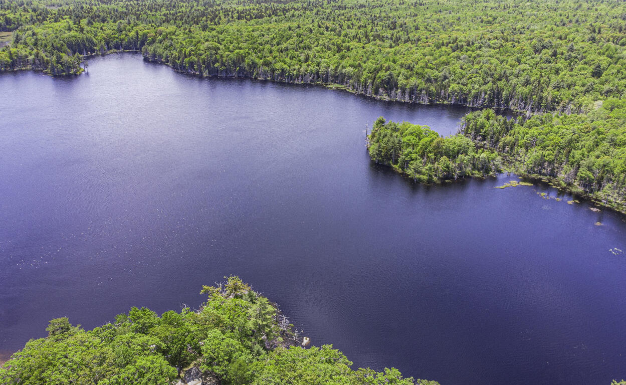48 Douglas Loop Blue Hill, ME 04614 - Photo 8 of 28 DJI_0433