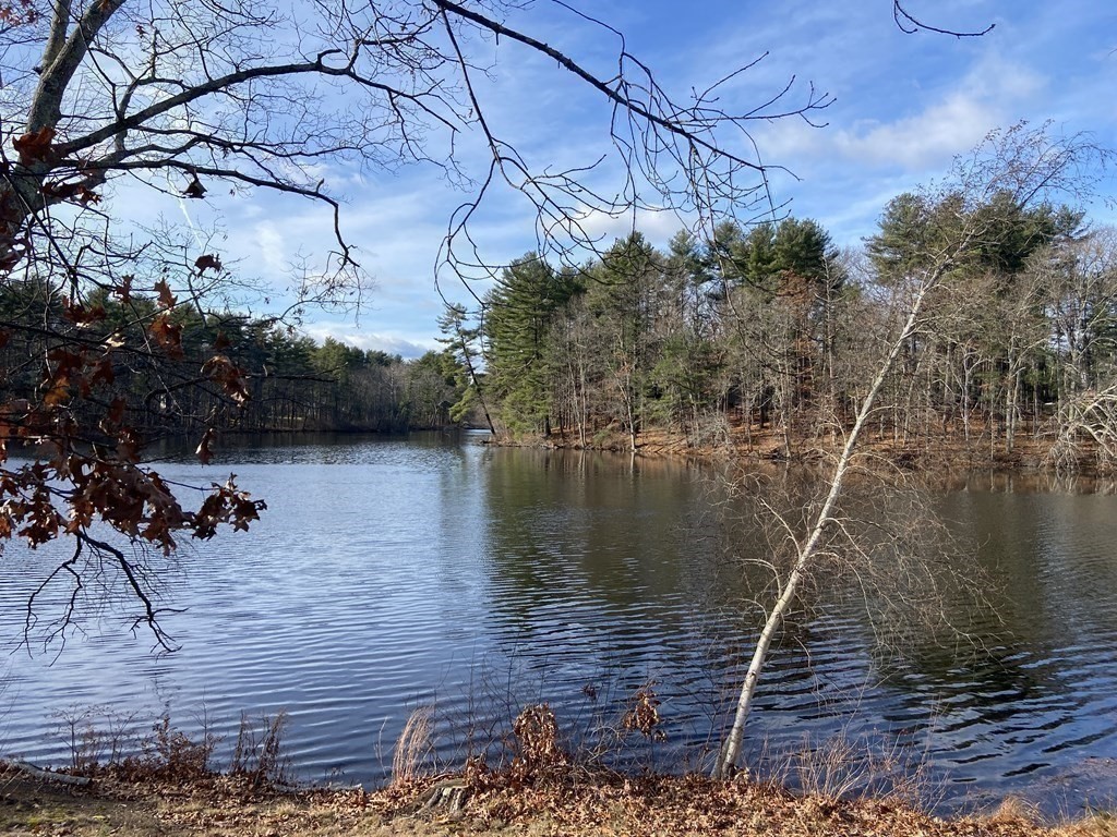 557 Dutton Road, Unit 6 Sudbury, MA 01776 - Photo 19 of 25