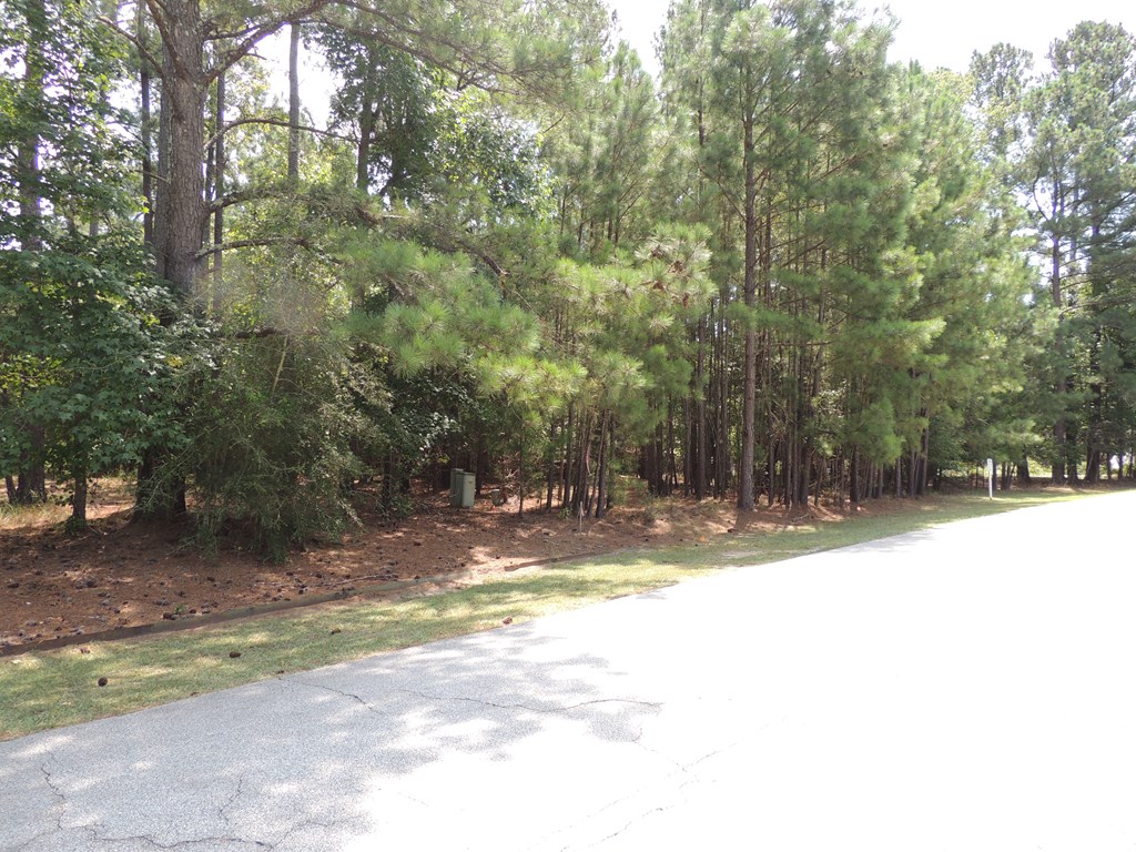 112 Ferry Cove Road Greenwood, SC 29649 - Photo 5 of 30 Gallery Image 5