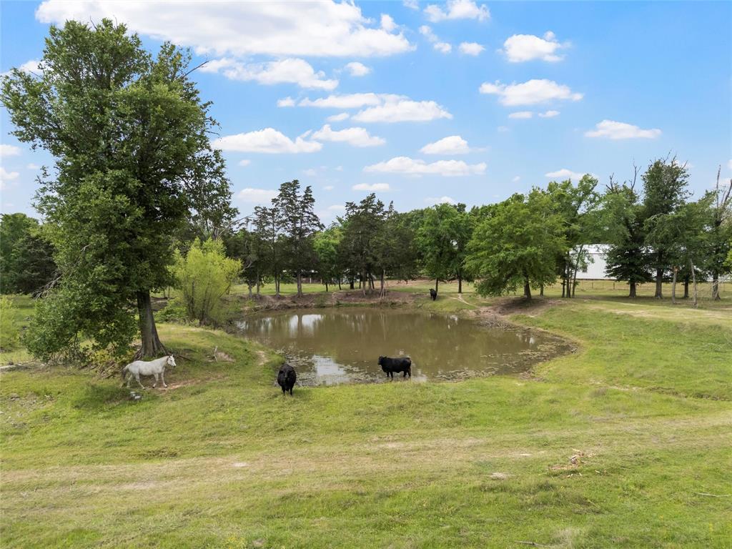 237 Lcr 711 Kosse, TX 76653 - Photo 36 of 40 Water view