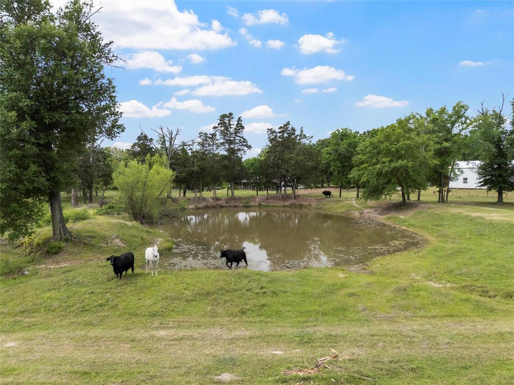 237 Lcr 711 Kosse, TX 76653 - Photo 37 of 40 Property view of water