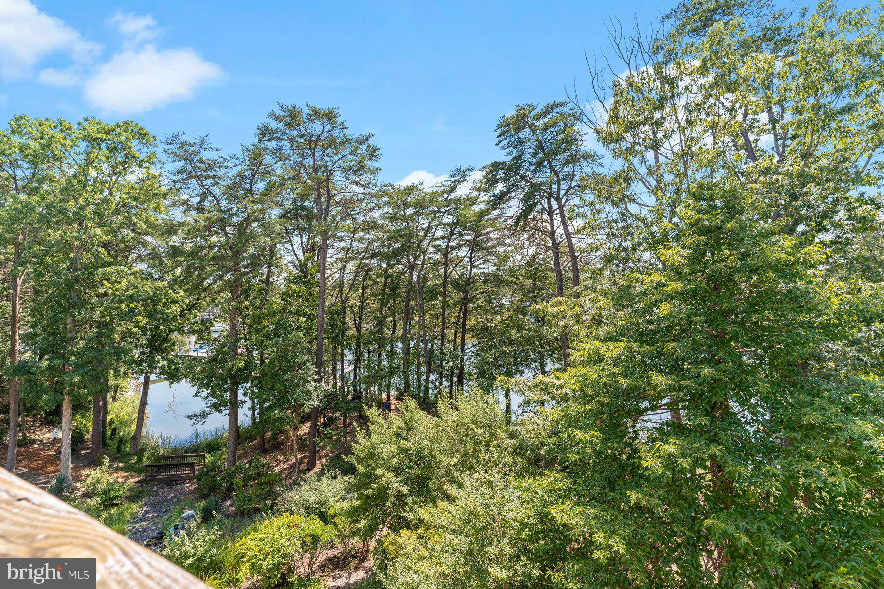 533 Runabout Loop, Unit 533 Solomons, MD 20688 - Photo 21 of 29 a view of a house with a lush green forest