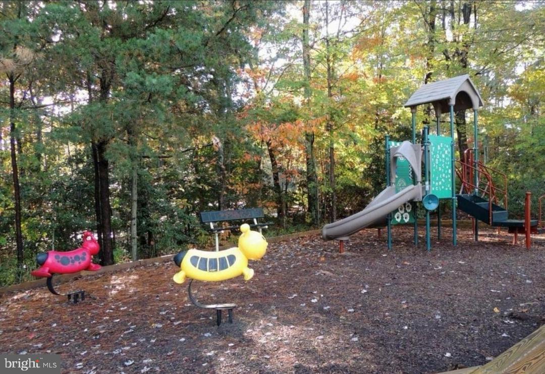 533 Runabout Loop, Unit 533 Solomons, MD 20688 - Photo 28 of 29 a view of a park with slide