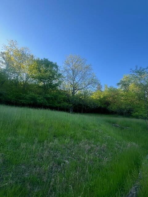 6357 Cecil Fields Road Union, KY 41091 - Photo 20 of 32