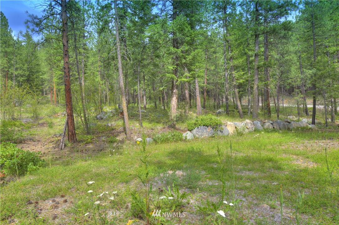 41 Highland Road Winthrop, WA 98862 - Photo 2 of 40