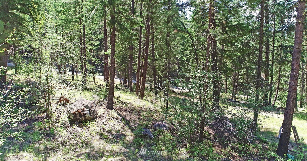 41 Highland Road Winthrop, WA 98862 - Photo 22 of 40
