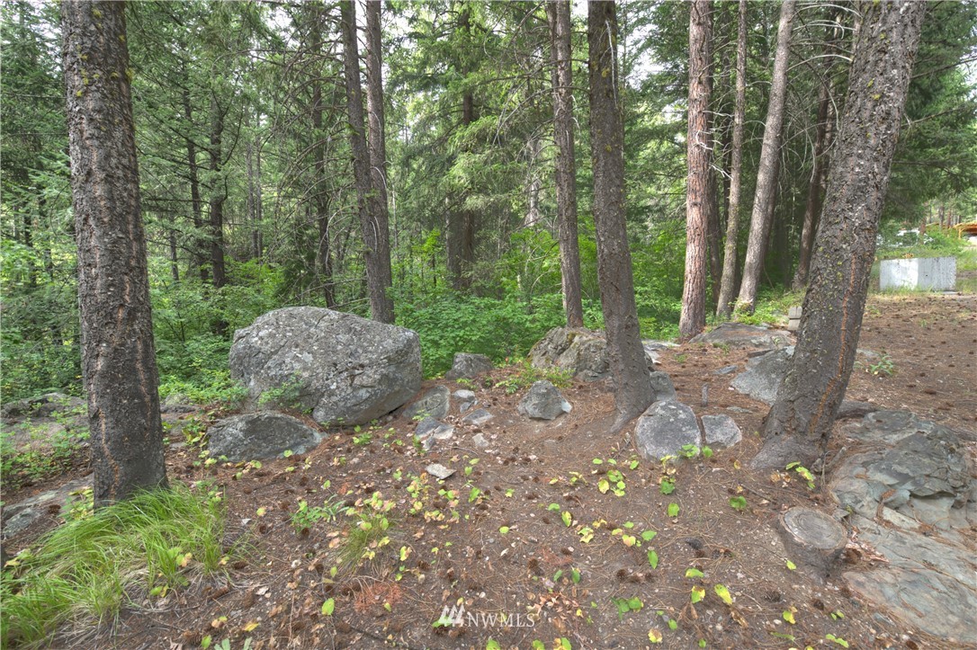 41 Highland Road Winthrop, WA 98862 - Photo 38 of 40