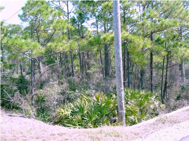 5956 Cape San Blas Road, Unit 36 Port St. Joe, FL 32456 - Photo 1 of 1