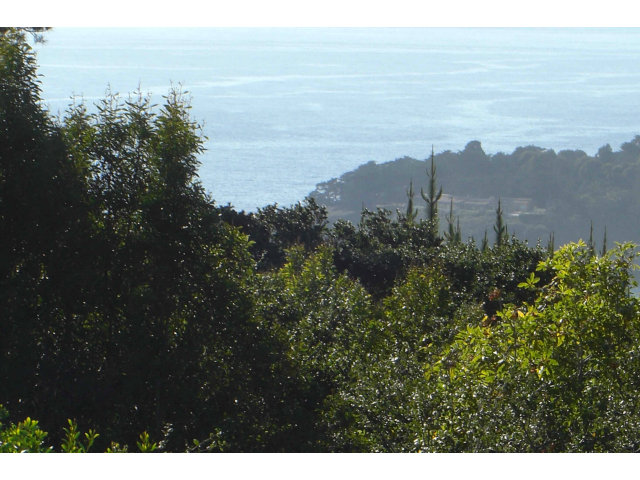 1552 Viscaino Road Pebble Beach, CA 93953 - Photo 13 of 23 Gallery Image 13