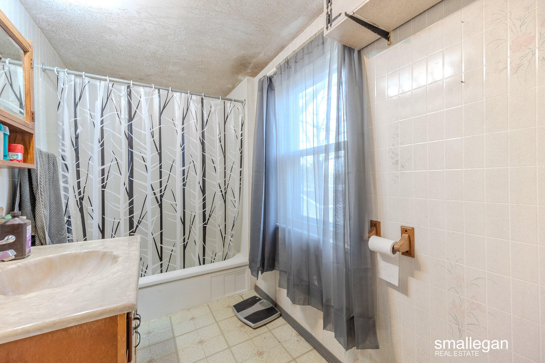 620 East Spring Street Whitehall, MI 49461 - Photo 15 of 29 620 East Springs Street-25
