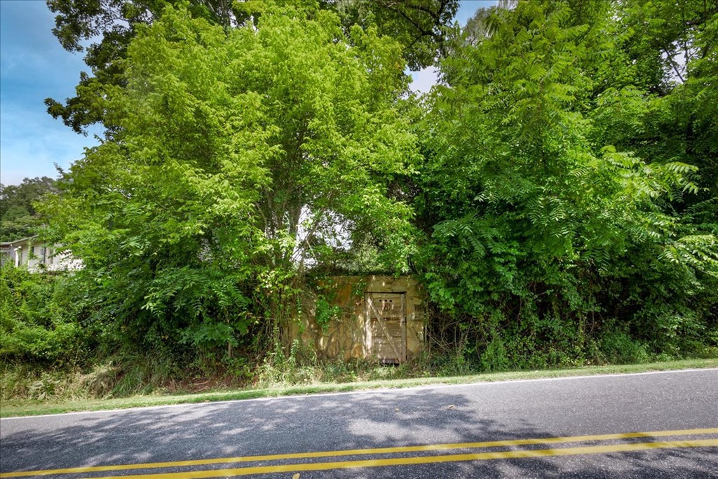 571 Floyd Stalcup Road Murphy, NC 28906 - Photo 19 of 54