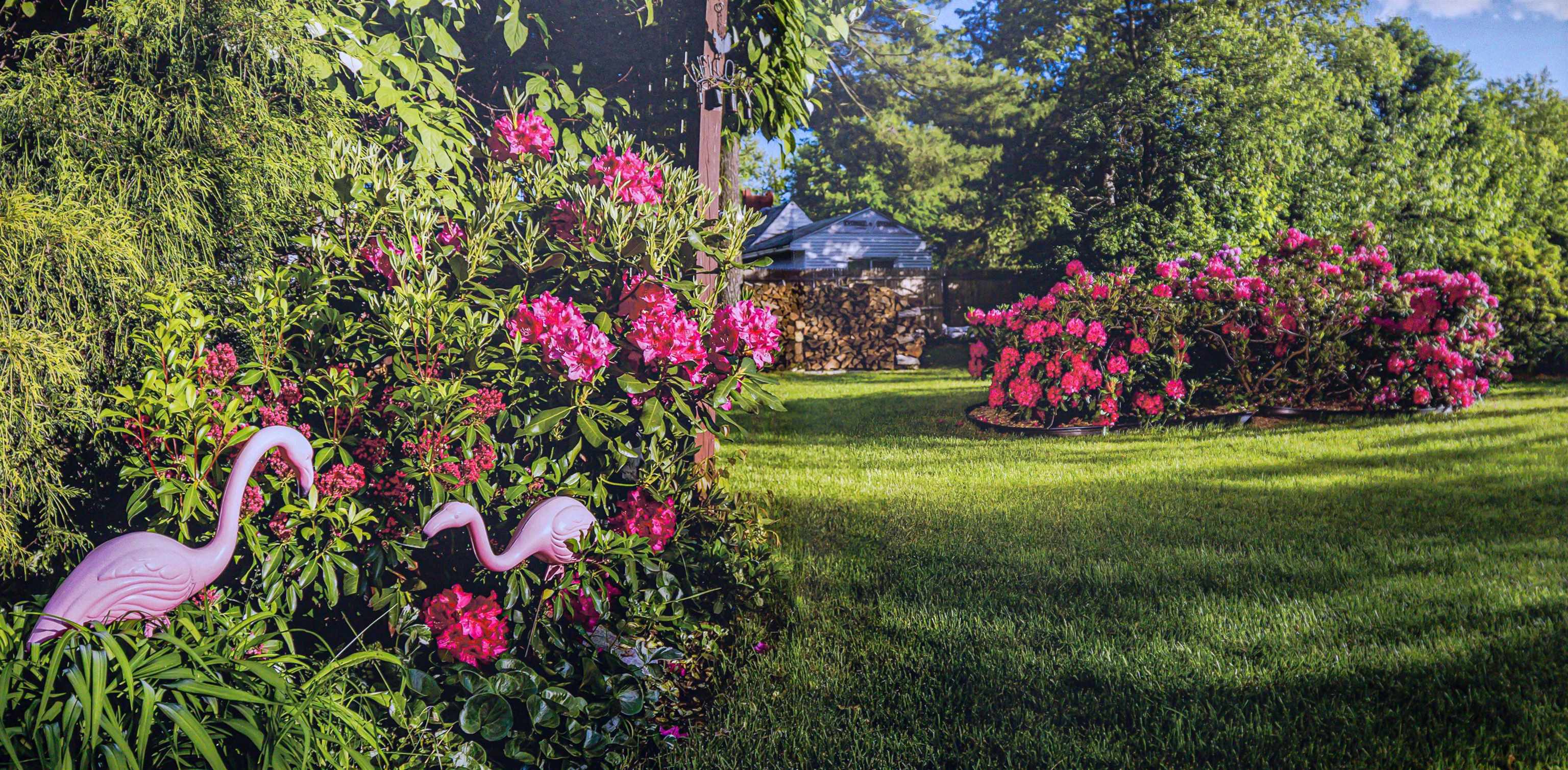 11 Fellows Street Concord, NH 03301 - Photo 3 of 54