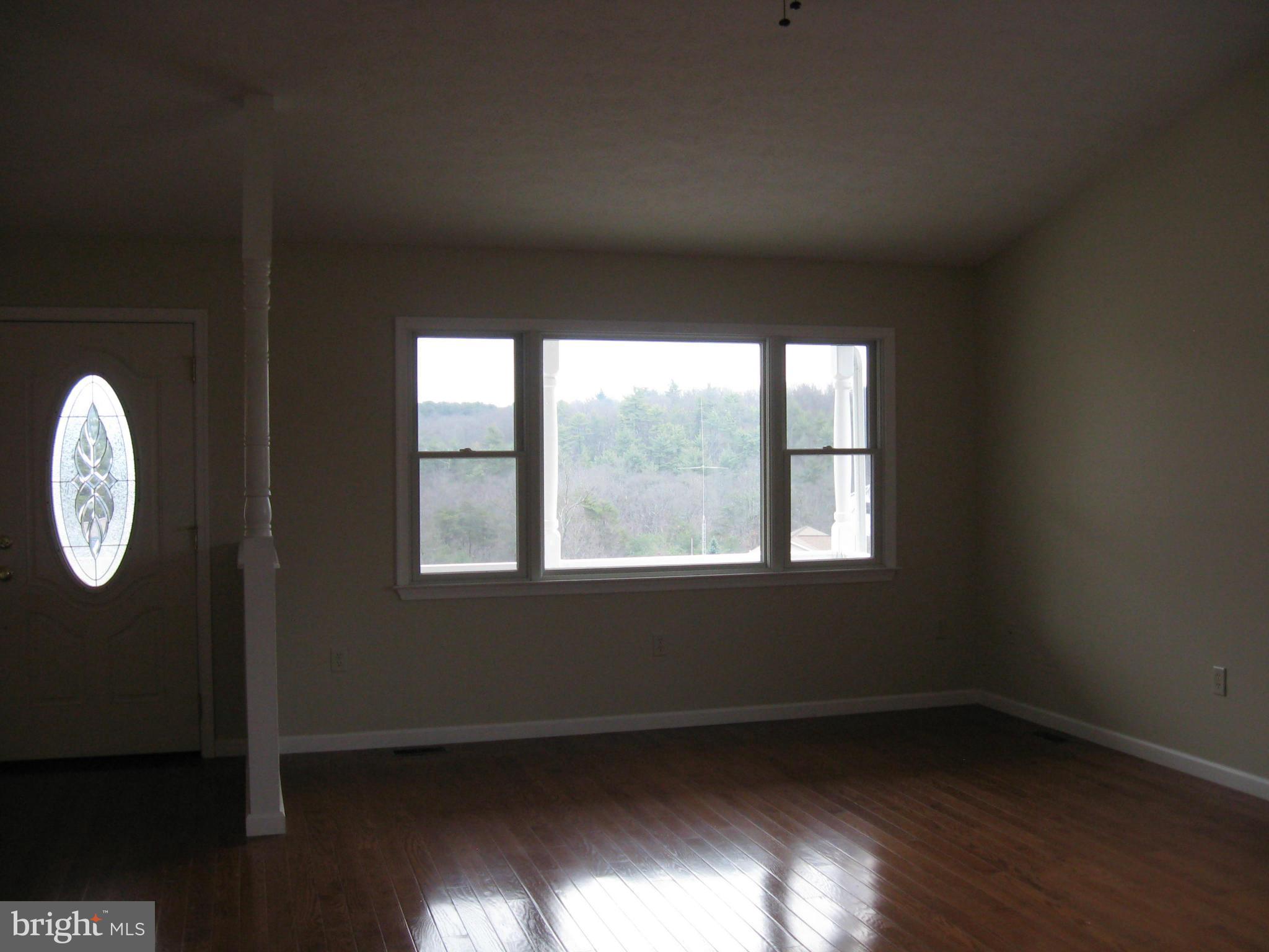 407 Ridge View Drive Berkeley Springs, WV 25411 - Photo 14 of 30 Living Room