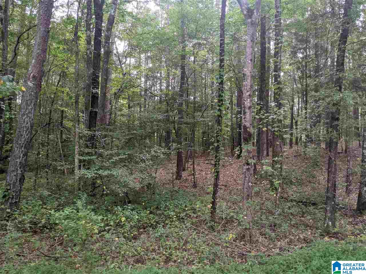 0 Smith Avenue, Unit 3 2 Anniston, AL 36207 - Photo 38 of 43