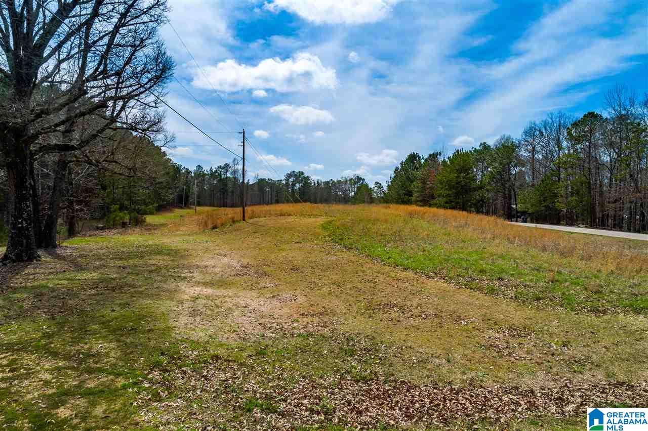 4199 Cowpens Road Alexander City, AL 35010 - Photo 42 of 50