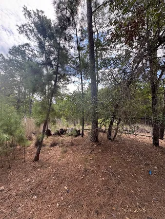 $29,000 | Tbd Tbd Otto Lane, La Grange, TX 78945