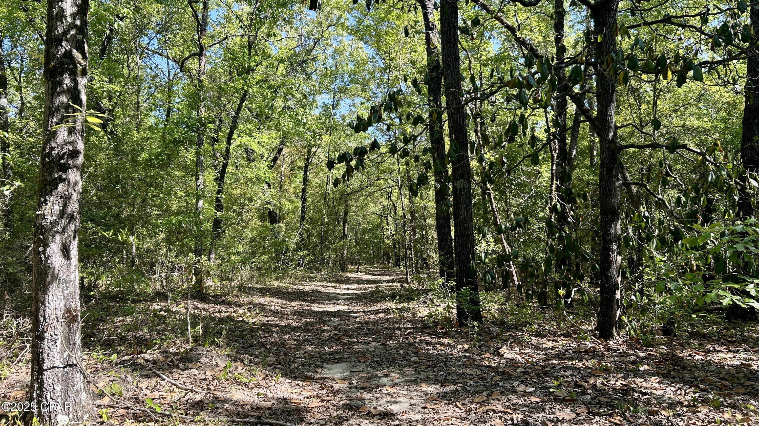 4264 Cleveland Road Baker, FL 32531 - Photo 15 of 36
