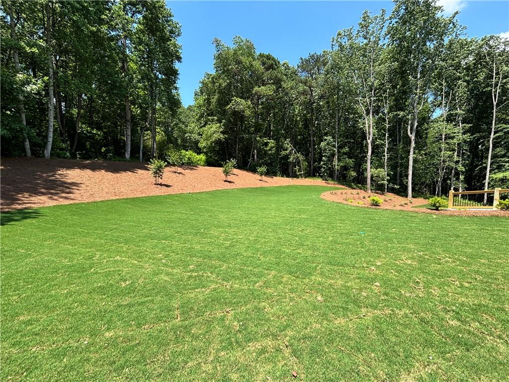 422 Old Orange Mill Road Canton, GA 30115 - Photo 4 of 49