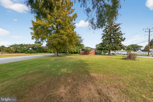 a view of a field with large trees