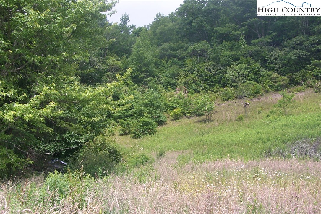Pigeon Roost Road Banner Elk, NC 28604 - Photo 1 of 7 a view of a field of grass and trees