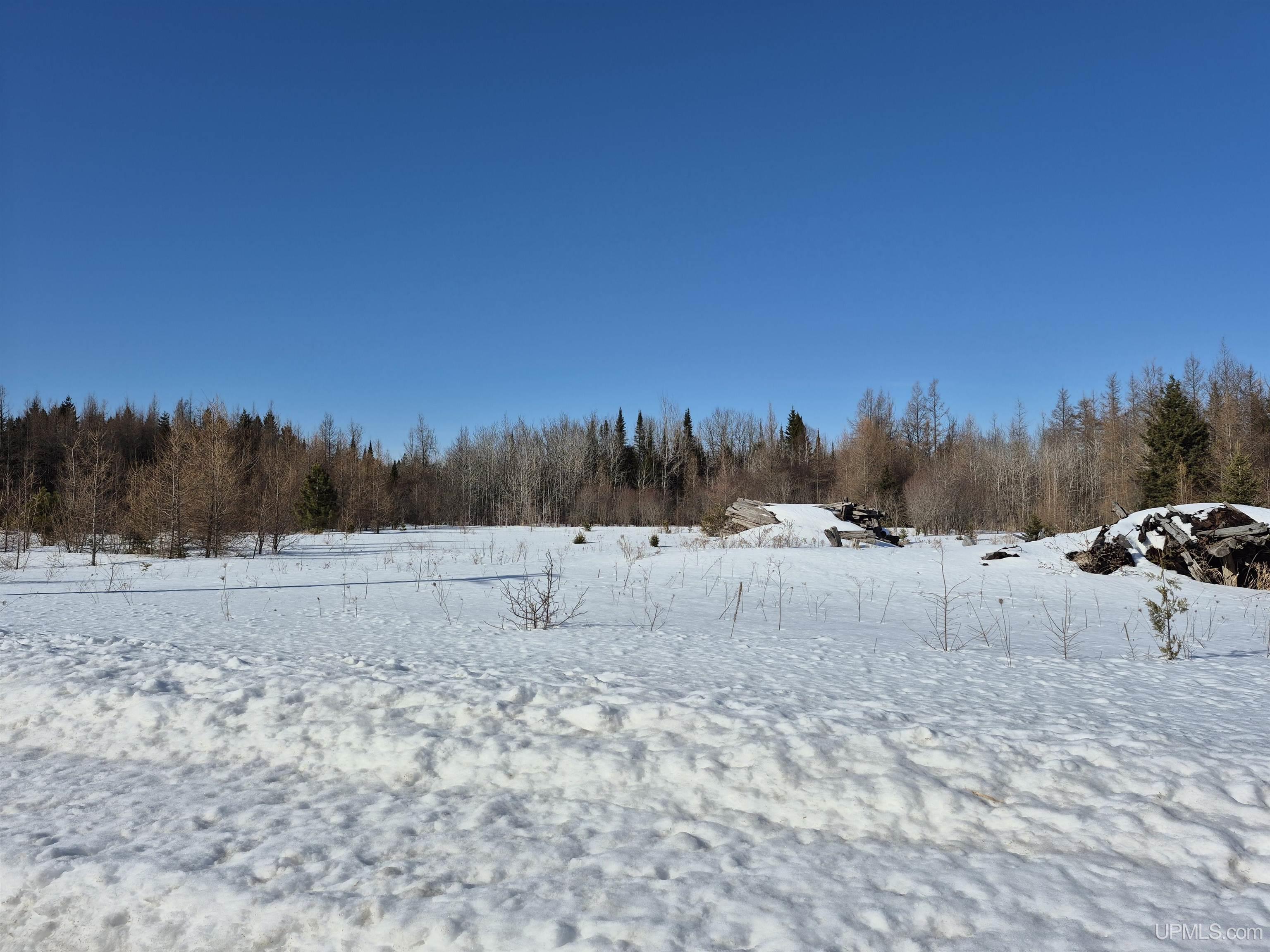W 80-acres River Road Gulliver, MI 49840 - Photo 5 of 29