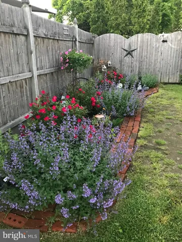 a view of garden with flowers