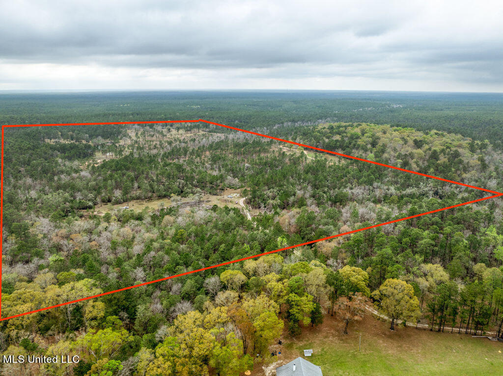 15429 Indian Fork Road Vancleave, MS 39565 - Photo 56 of 63 Arial of Land