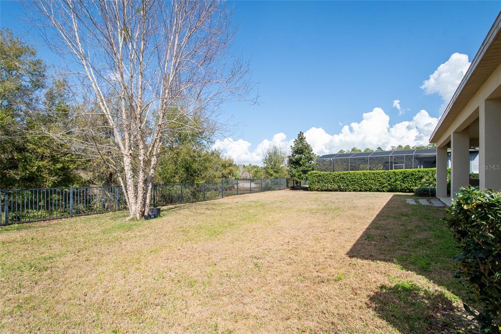 615 Timbervale Trail Clermont, FL 34715 - Photo 54 of 100
